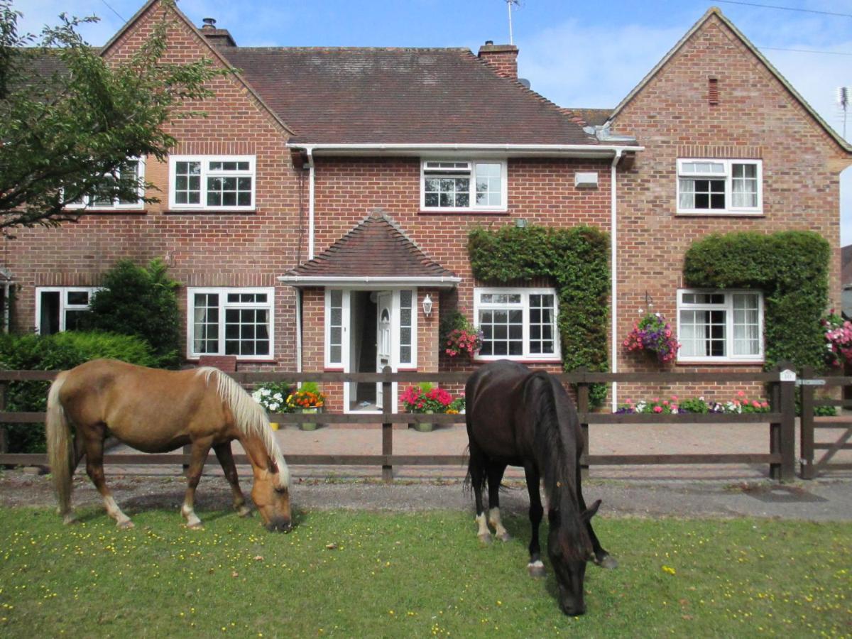 Hops Main House, Brockenhurst, New Forest Villa Dış mekan fotoğraf